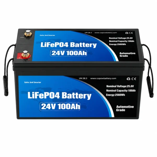 24V 100Ah LiFePO₄ Pack 2.4kWh
